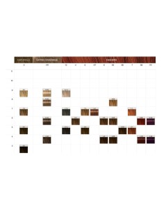 Igora Color10 tinte de Schwarzkopf 2