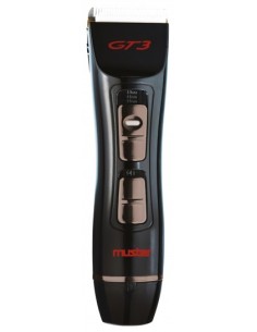 MÁQUINA GT3 DE MUSTER E DIKSON 2