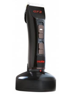 MÁQUINA GT3 DE MUSTER E DIKSON